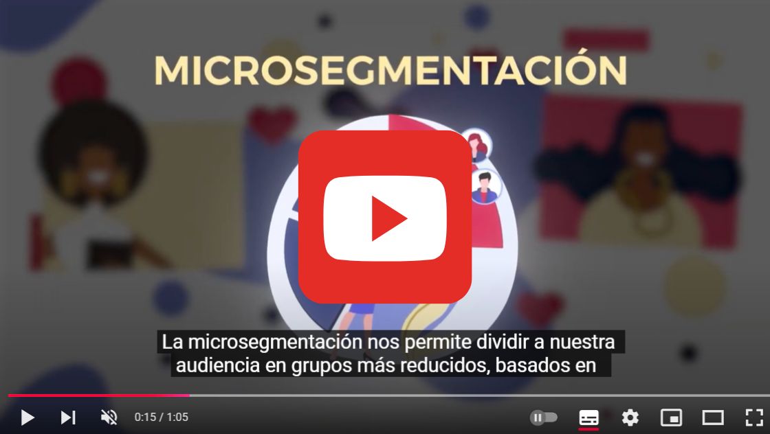 Microsegmentación para pymes: qué es y cómo utilizarla